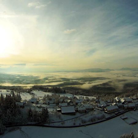 Turizem Pavlin Apartments Senturska Gora Luaran gambar