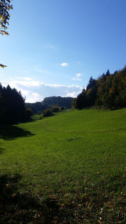 Turizem Pavlin Apartments Senturska Gora Luaran gambar