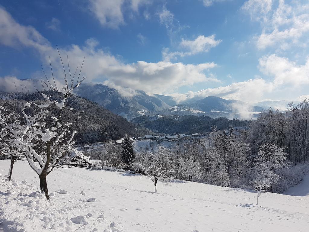 Turizem Pavlin Apartments Senturska Gora Luaran gambar